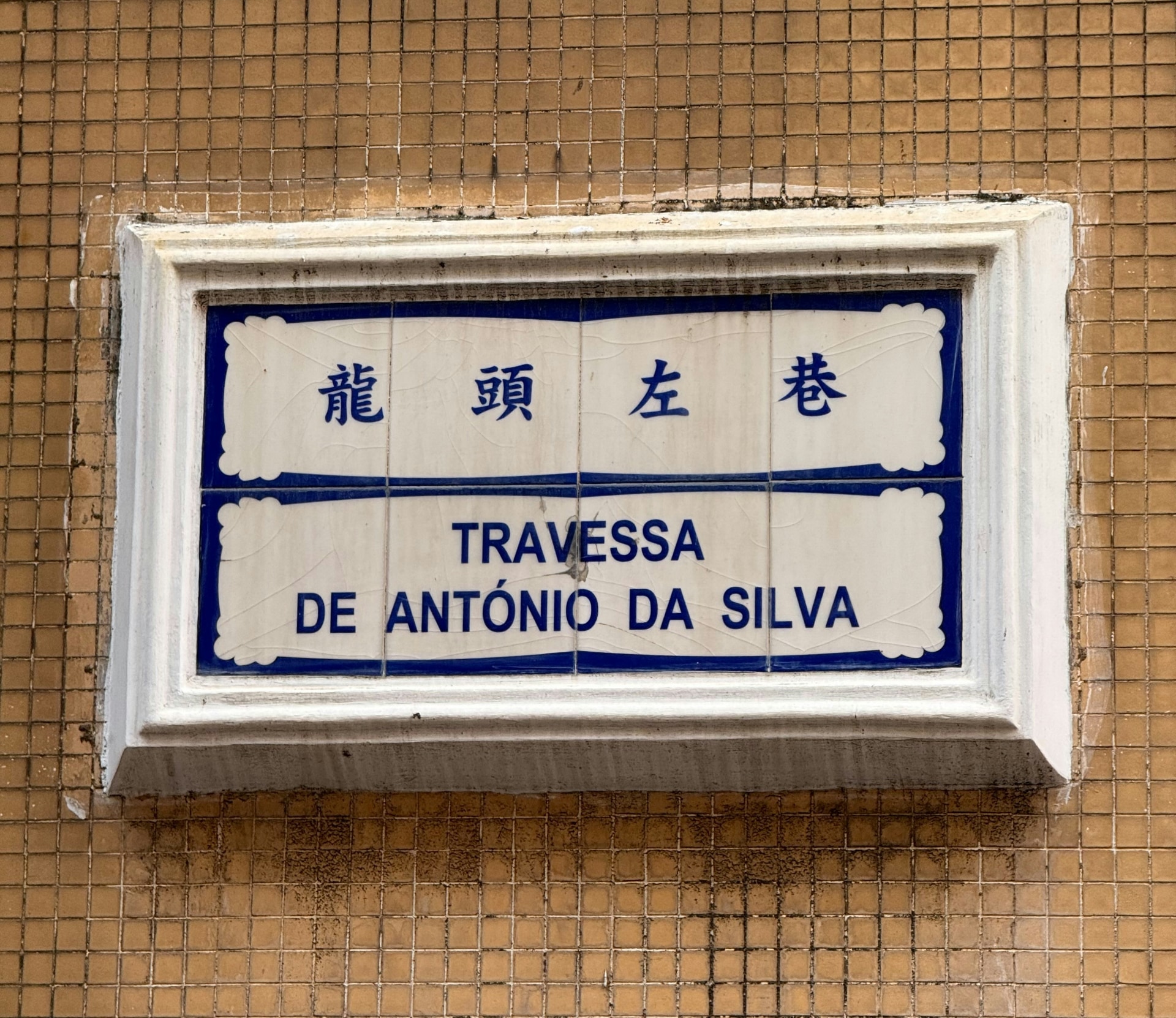 Traducción de chino Tridiom