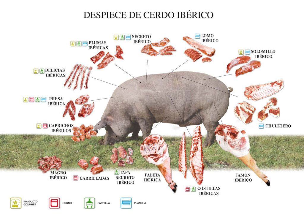Cochinas Traducciones Traducción para restaurantes Partes del cerdo Cochinas Traducciones Traducción para restaurantes Partes del cerdo