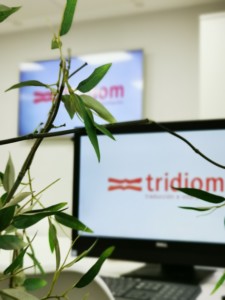 La mejor agencia de traducción de España | Tridiom